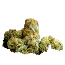 dds2-indica
